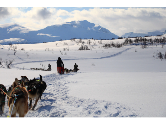 犬ぞり体験中!!