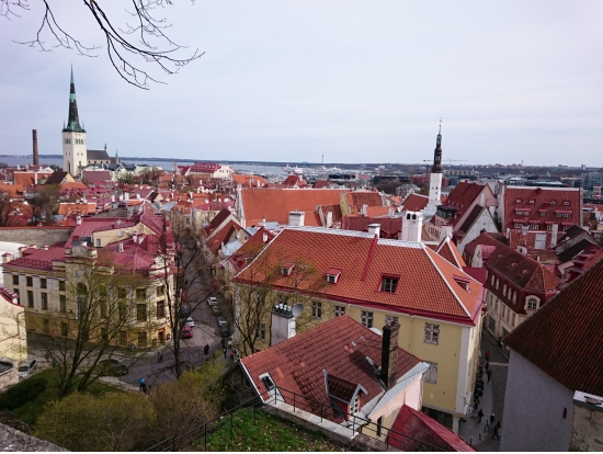 展望台からの眺め