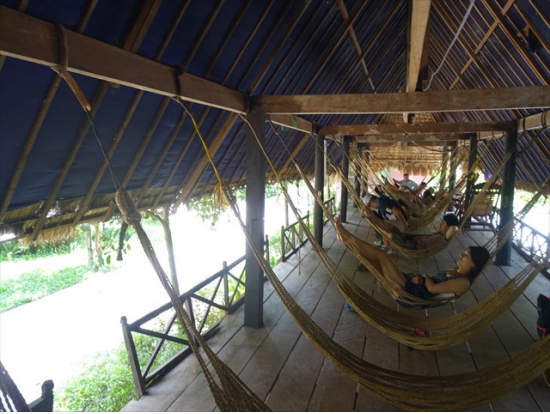 食後はハンモックでまったり。