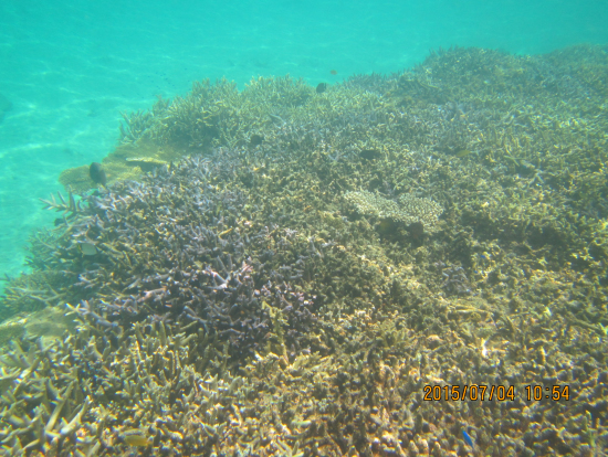 パナリ(新島島・上地島)港からすぐのポイント