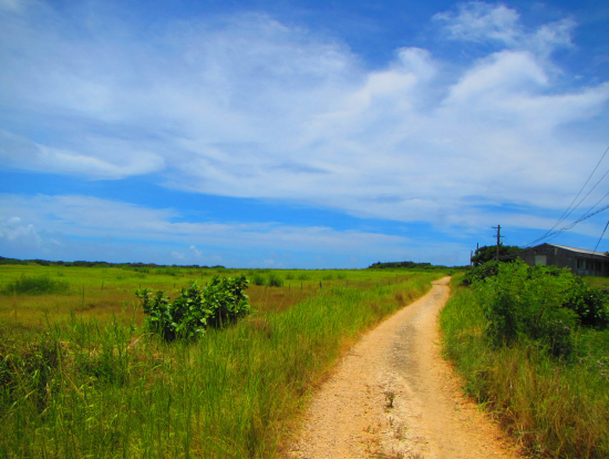下地島探索。ほぼ無人島のよう