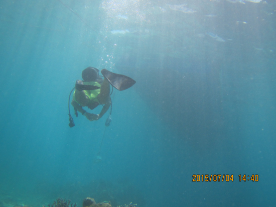 ダイビング開始~