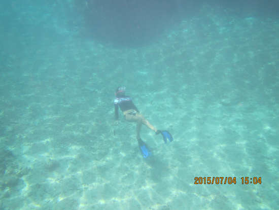 最後の巣潜り時、水底から上をみあげると鏡のようなとても綺麗な景色です