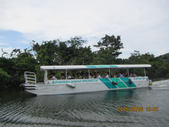 仲間川マングローブツアー