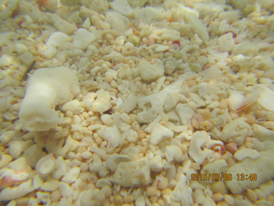 パナリ下地島へビーチの砂浜