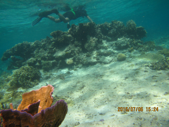 全員ライフジャケットなしで巣潜り~