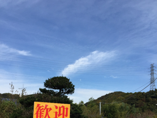 目立つ看板でわかりやすいです。