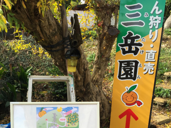 左下の地図にしたがって山の上のみかん園を目指します。