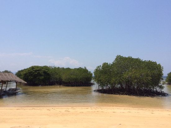 ランチ会場からの眺め!