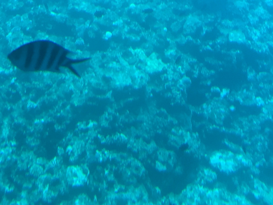 何とか接近で取れました