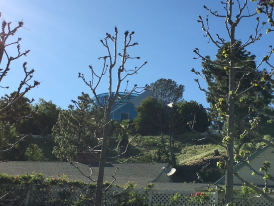 ジャスティンビーバーの豪邸は月6万ドル(!)のレンタルだそう