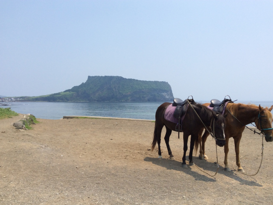 城山日出峰が綺麗に見えるポイントから、済州馬とのスリーショット。