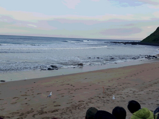 サマーランドビーチ