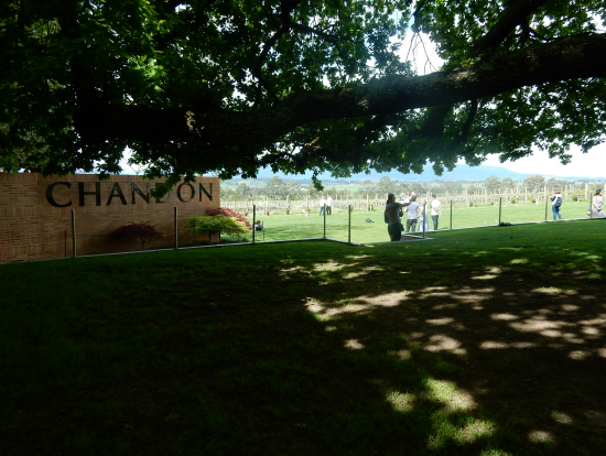 ドメイン シャンドン