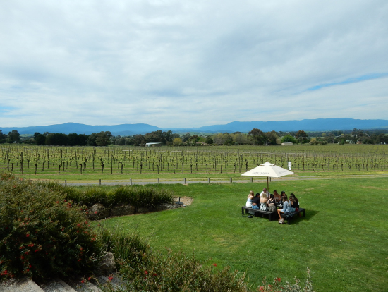 イエリングの代わりにグリーン ストーン ワイナリーへ