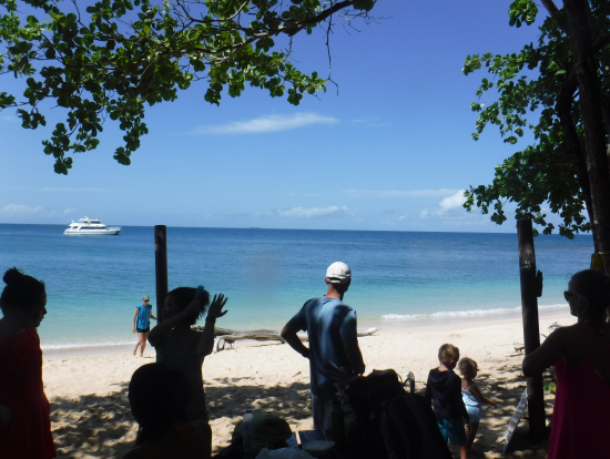 見事な青と青です。