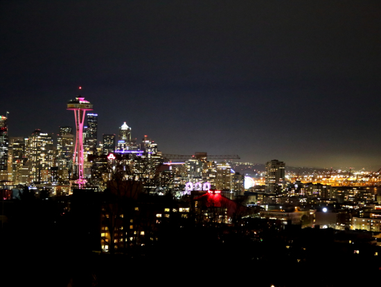 ケリーパークからの夜景。