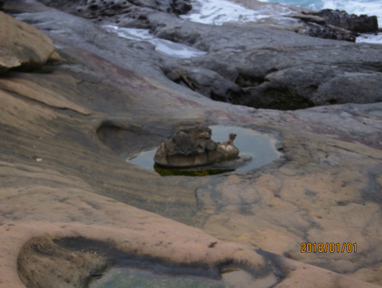 野柳地質公園・カタツムリ岩