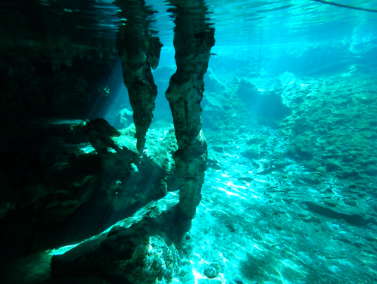 独特な地形の水中世界