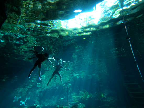 泳ぎ上手なガイドさんが潜水して撮ってくださいました