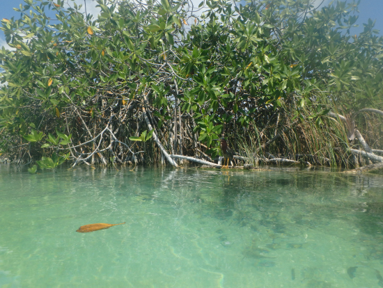 水路をゆっくり流れて行く