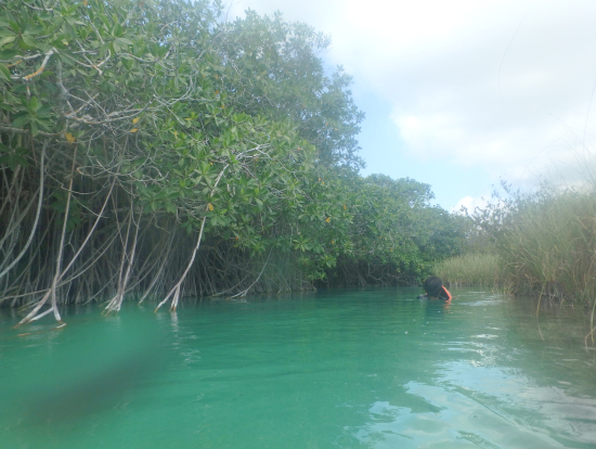 セノーテとはまた違う水の青
