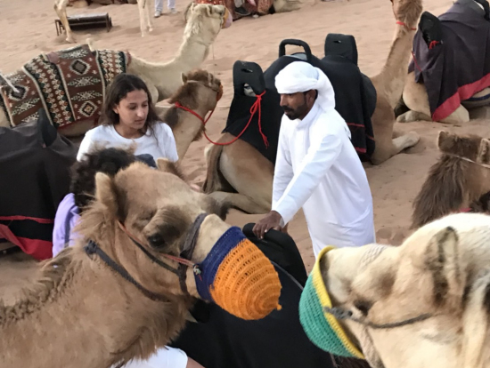 ラクダに乗ります