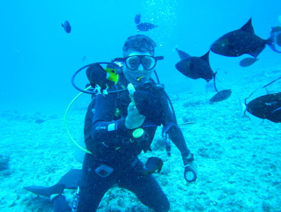 お魚ちゃんたち