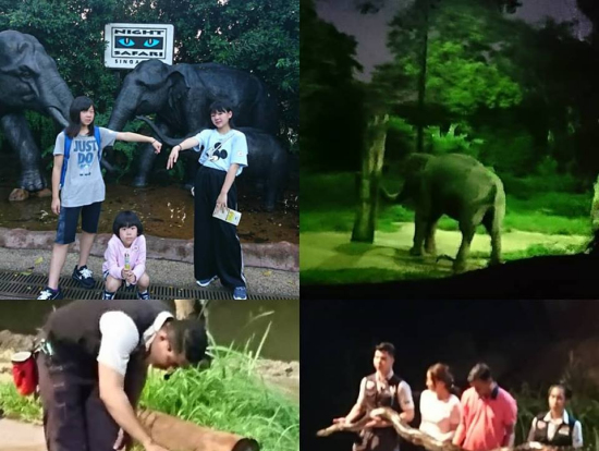 ナイトサファリ内は暗いです。。。