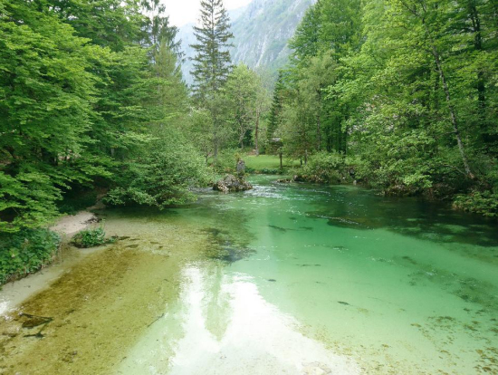 ボーヒン湖 水が美しくて感動しました