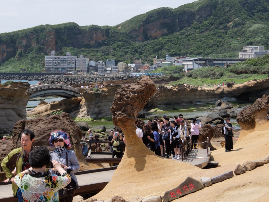 裏から撮影しても充分女王頭です