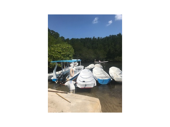 マングローブツアー この船でノンビリ