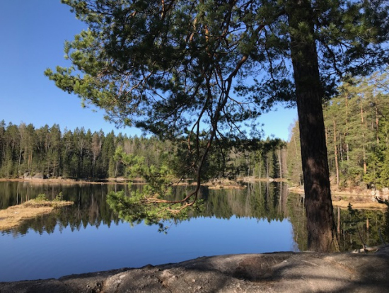 ヌークシオ国立公園