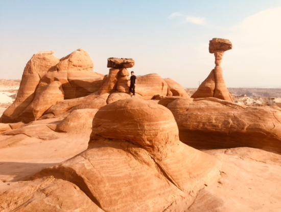 トッドストゥール