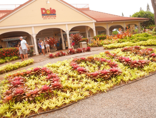 ドールプランテーション