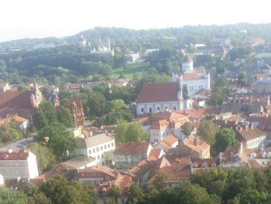 ゲティミナス城に上がれば、旧市街を一望できる