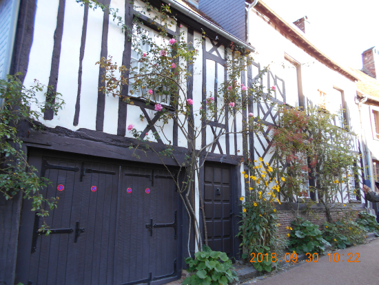 ピンク色のバラが中世の雰囲気とマッチ