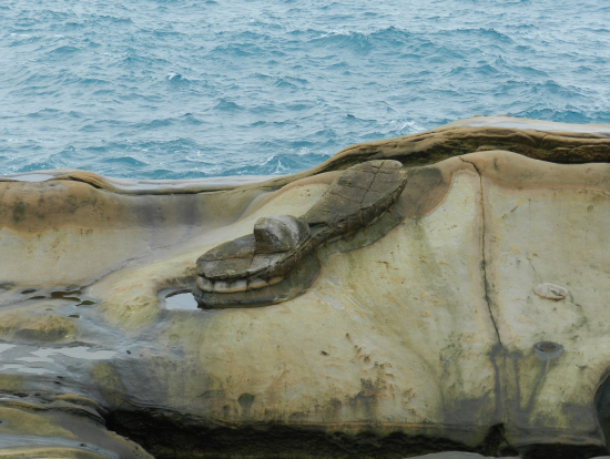 美女のサンダル岩