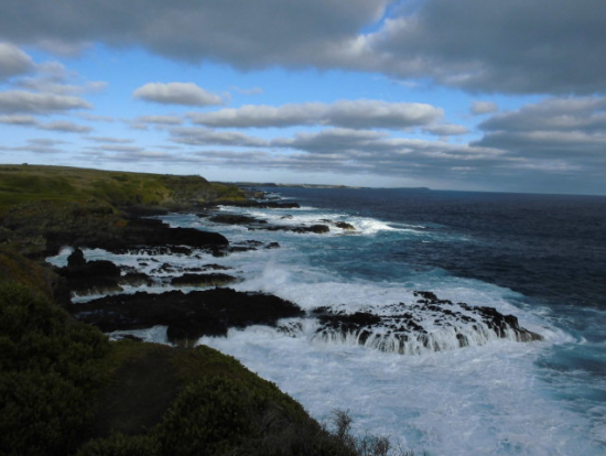 ペンギンの巣穴の岬