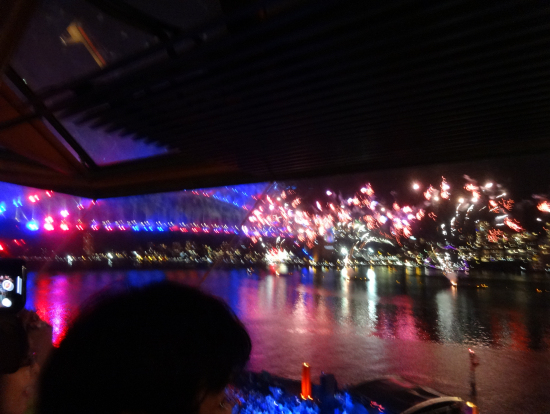 カウントダウンの花火は世界一と感じました