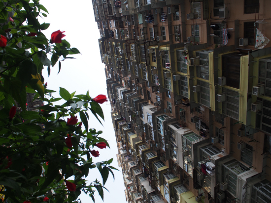 生でみると圧巻