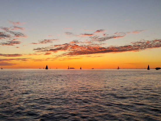 Another photo from the cruise.