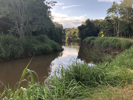 カモノハシは見れず…