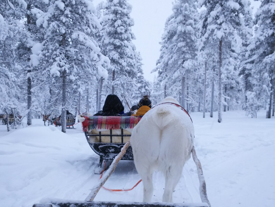 白銀の世界とトナカイ