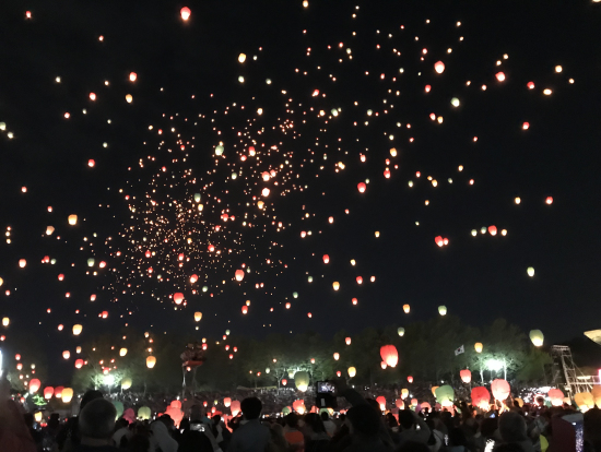 これが見たかったんです〜。