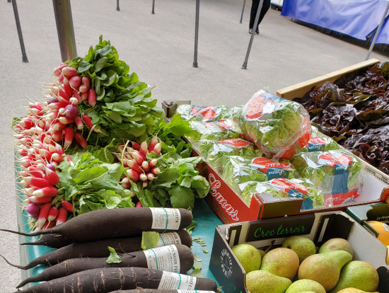 黒いラディッシュ！