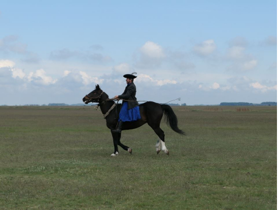 この馬に乗せてもらえました
