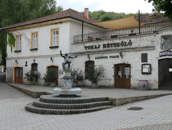 ラーコーツィ・ワインセラー