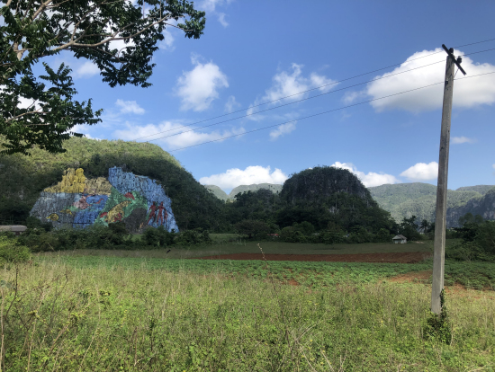 いきなり出現するアート