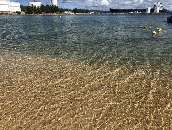 水綺麗ですね。実はこの写真にフグが写っています